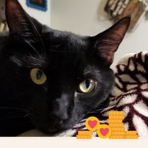 Meet your Posher, Lorrie